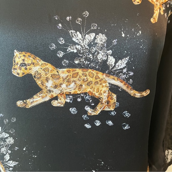 XS Zara Tiger Dress - Picture 5 of 12